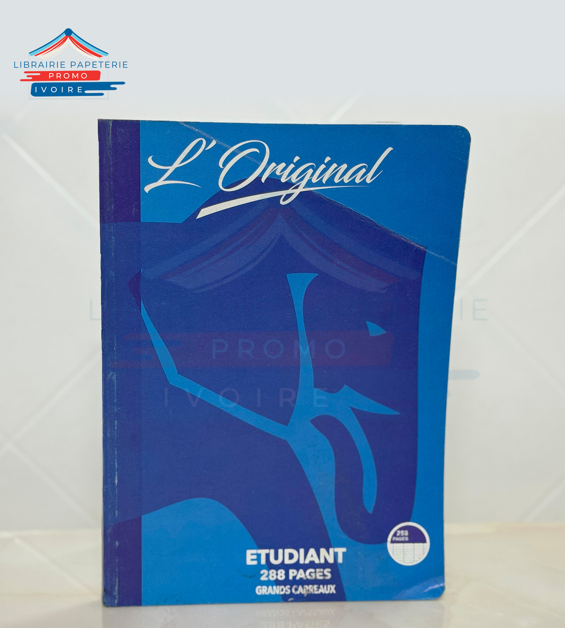 CAHIER ETUDIANT ORIGINAL 300 PAGES GRAND-CARREAUX