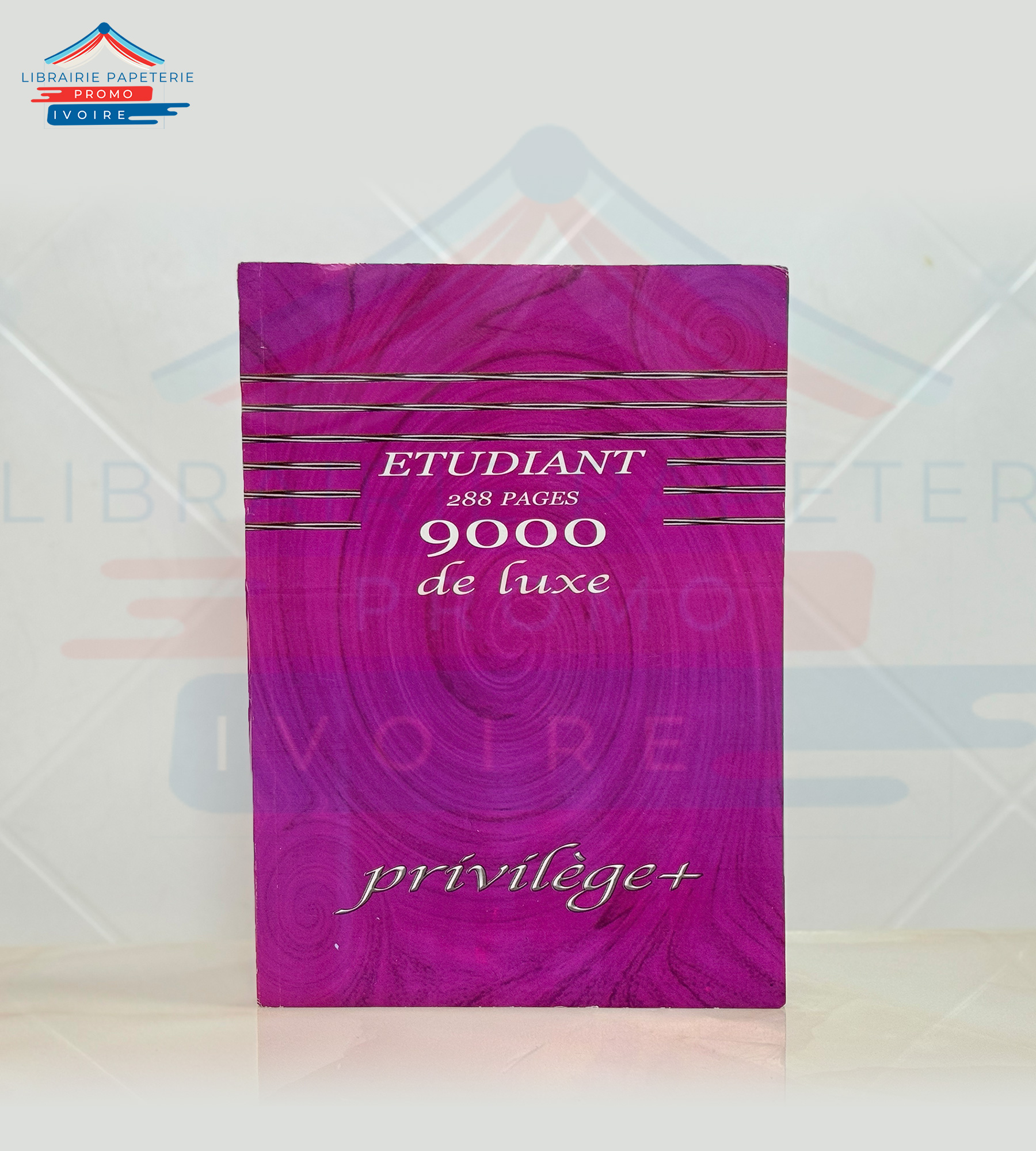 CAHIER ETUDIANT PRIVILEGE 300 PAGES PETIT-CARREAUX