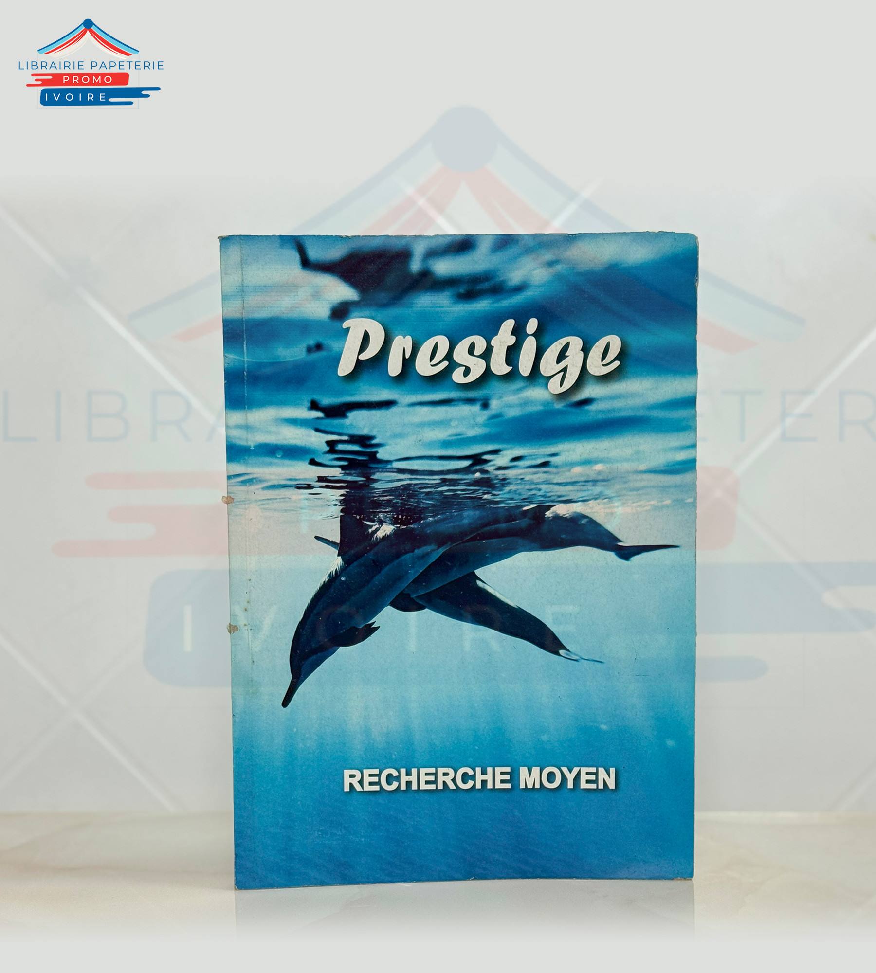 CAHIER RECHERCHE MOYEN PRESTIGE 200 PAGES