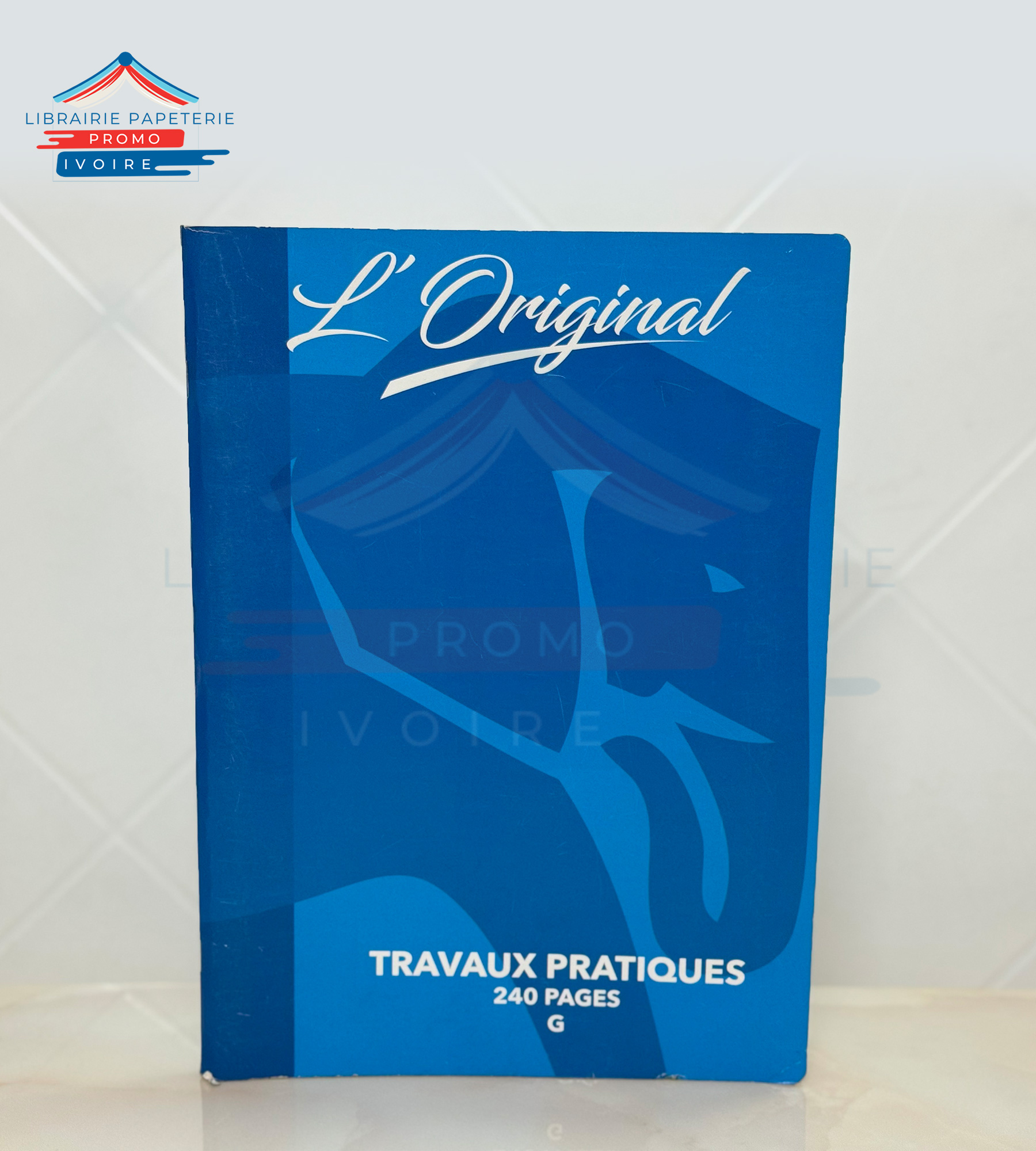 CAHIER TRAVAUX PRATIQUE ORIGINAL 300 PAGES