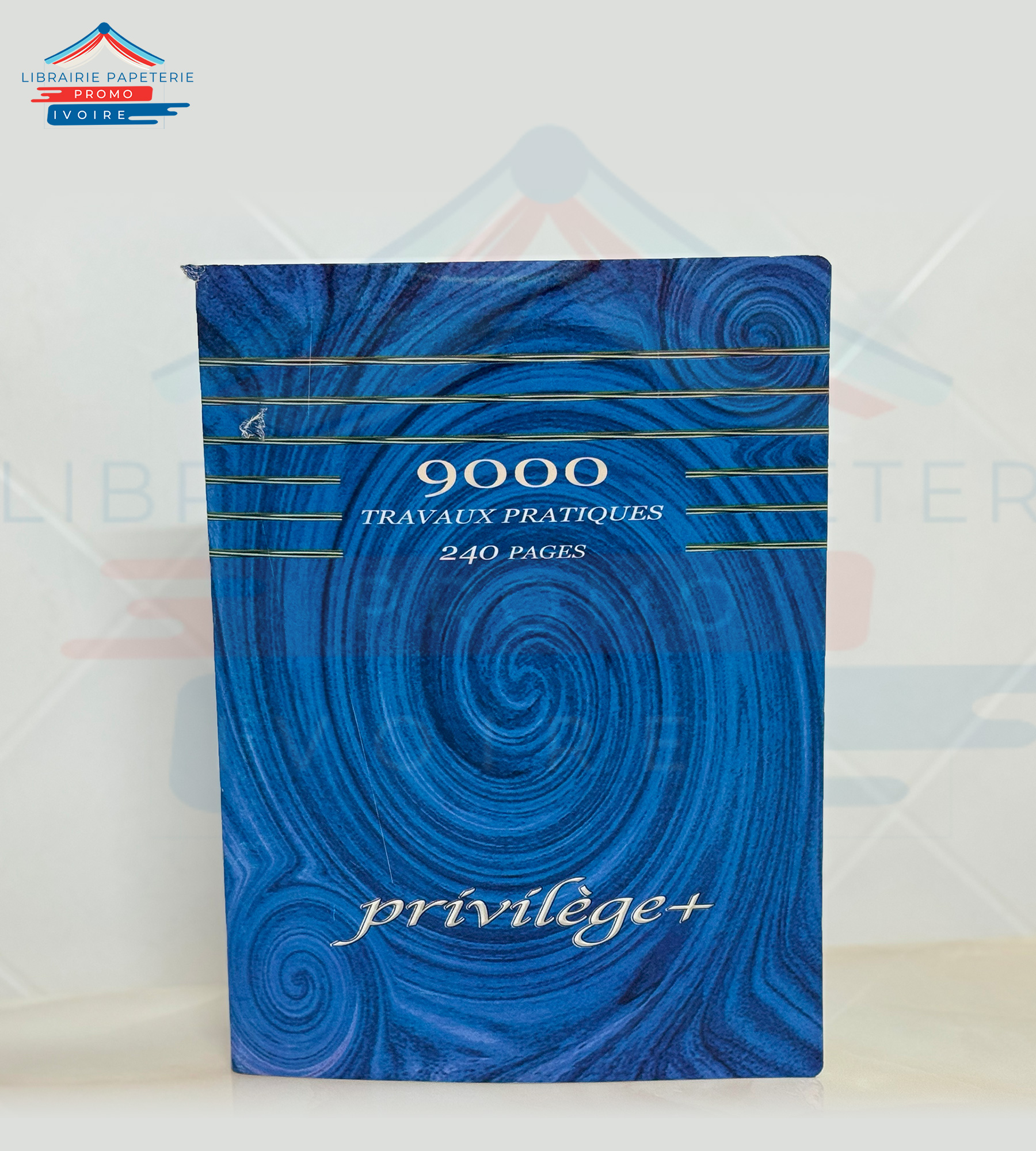 CAHIER TRAVAUX PRATIQUE PRIVILEGE 300 PAGES